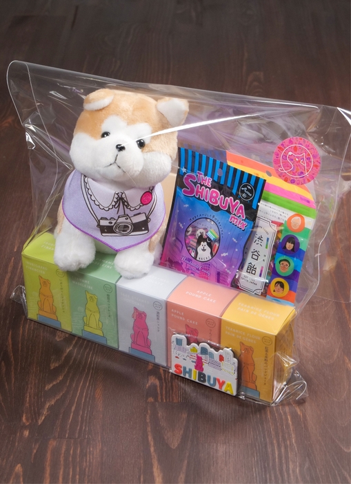 ハチスーベニアセット・見た目