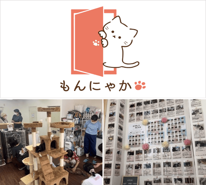 江東ねこの会もんにゃかイメージ