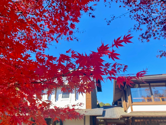 小野路宿里山交流館 紅葉祭り