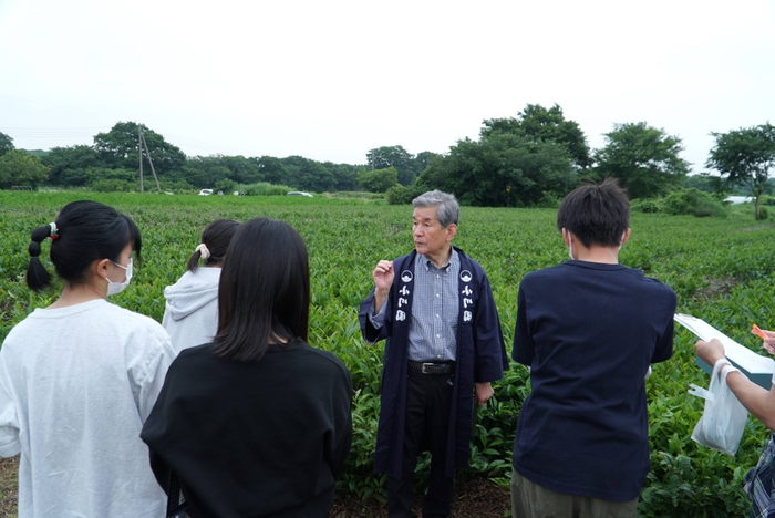佐倉東高校_佐倉茶について学び