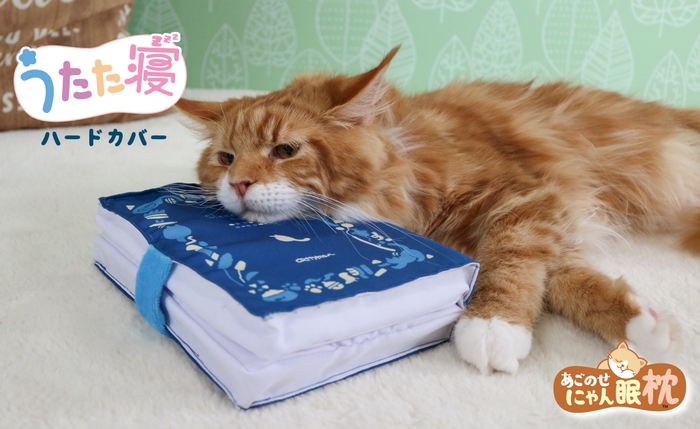 うたた寝 ハードカバー