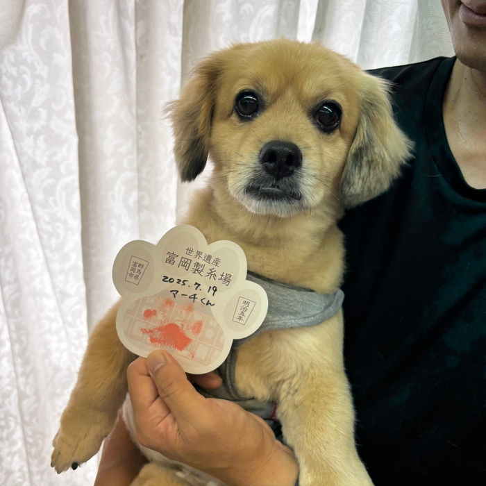 思い出にお土産として