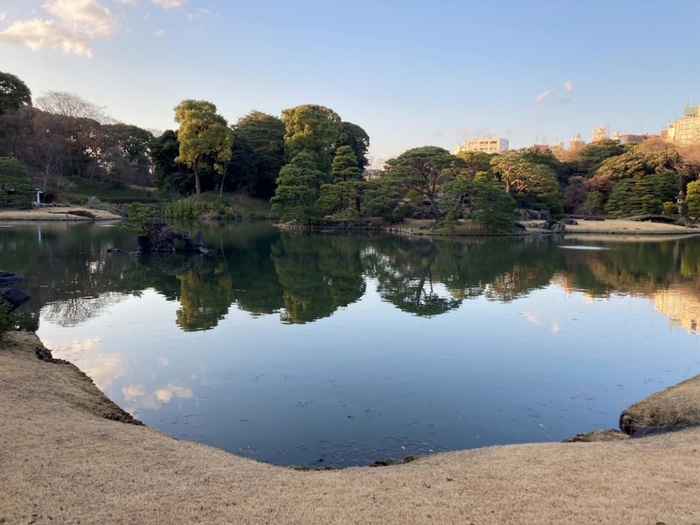 (写真:六義園・受賞者撮影)