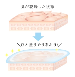 角質層のすみすみまでうるおいを与えてキープ!