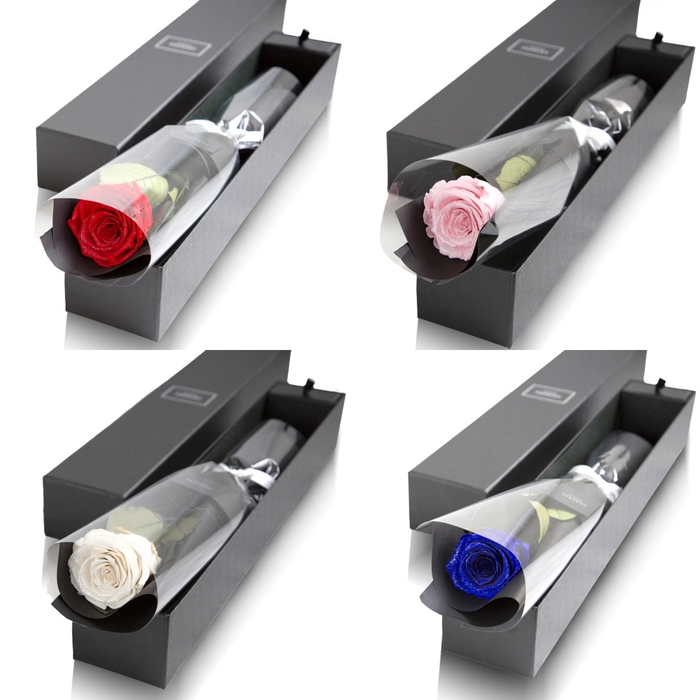 【選べるeギフト】ザ･ワン (プリザーブドフラワー)