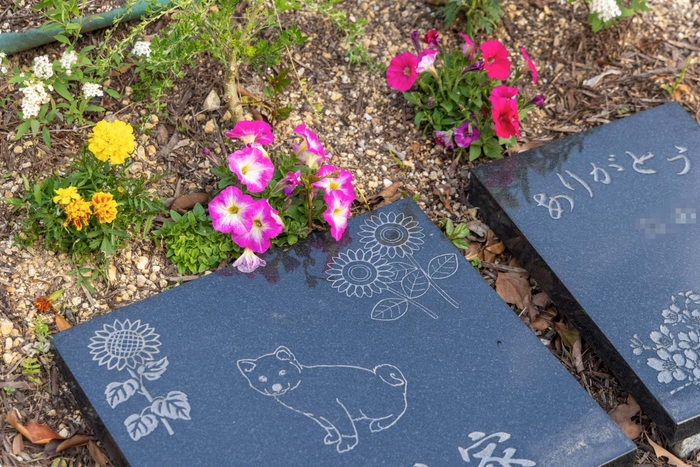 樹木葬の墓石 2