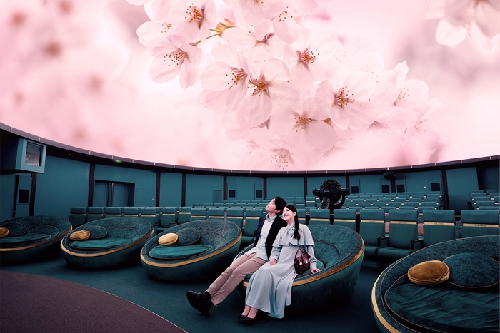 プラネタリアTOKYO 桜タイトル無し