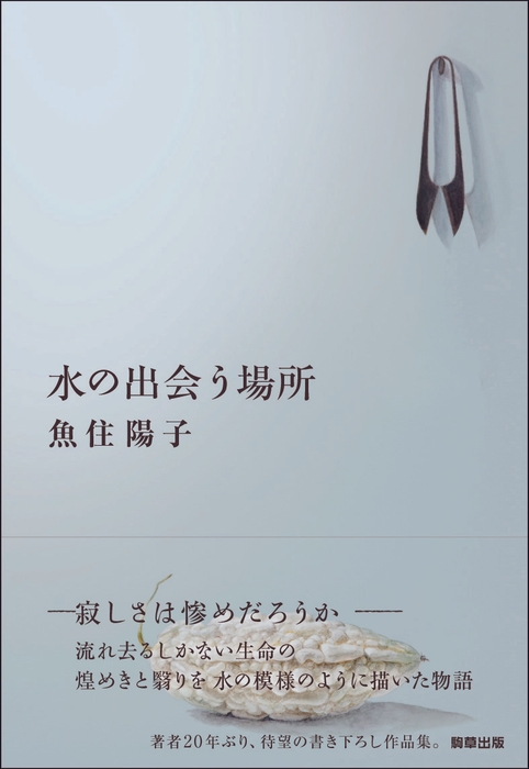 『水の出会う場所』 駒草出版 1,980円(税込)/四六判/344頁/ISBN 978-4-905447-35-1/2014年9月発売