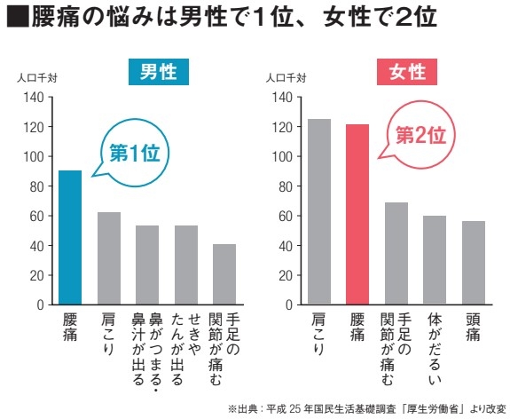 腰痛の悩みは男性で1位、女性で2位 ※出典:平成 25 年国民生活基礎調査「厚生労働省」より改変