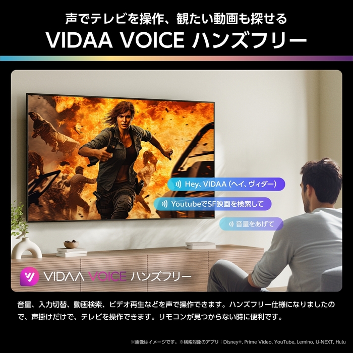 VIDAA VOICEハンズフリー