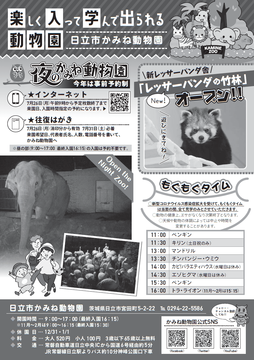 チラシ裏