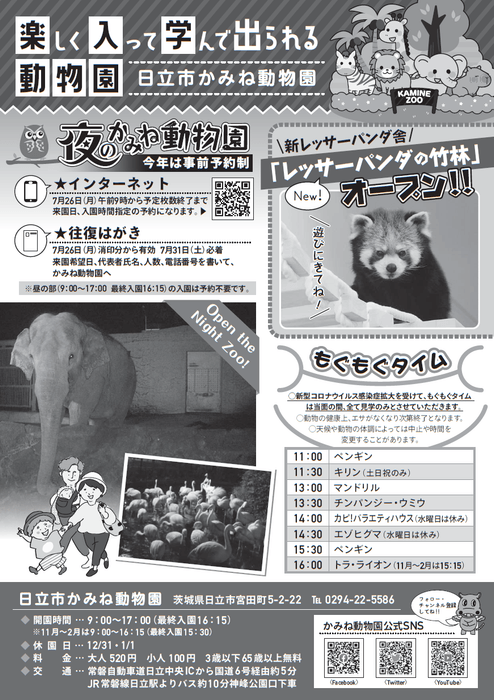 チラシ裏