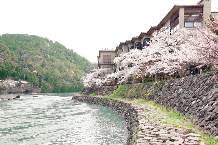 一面の桜 秋は紅葉