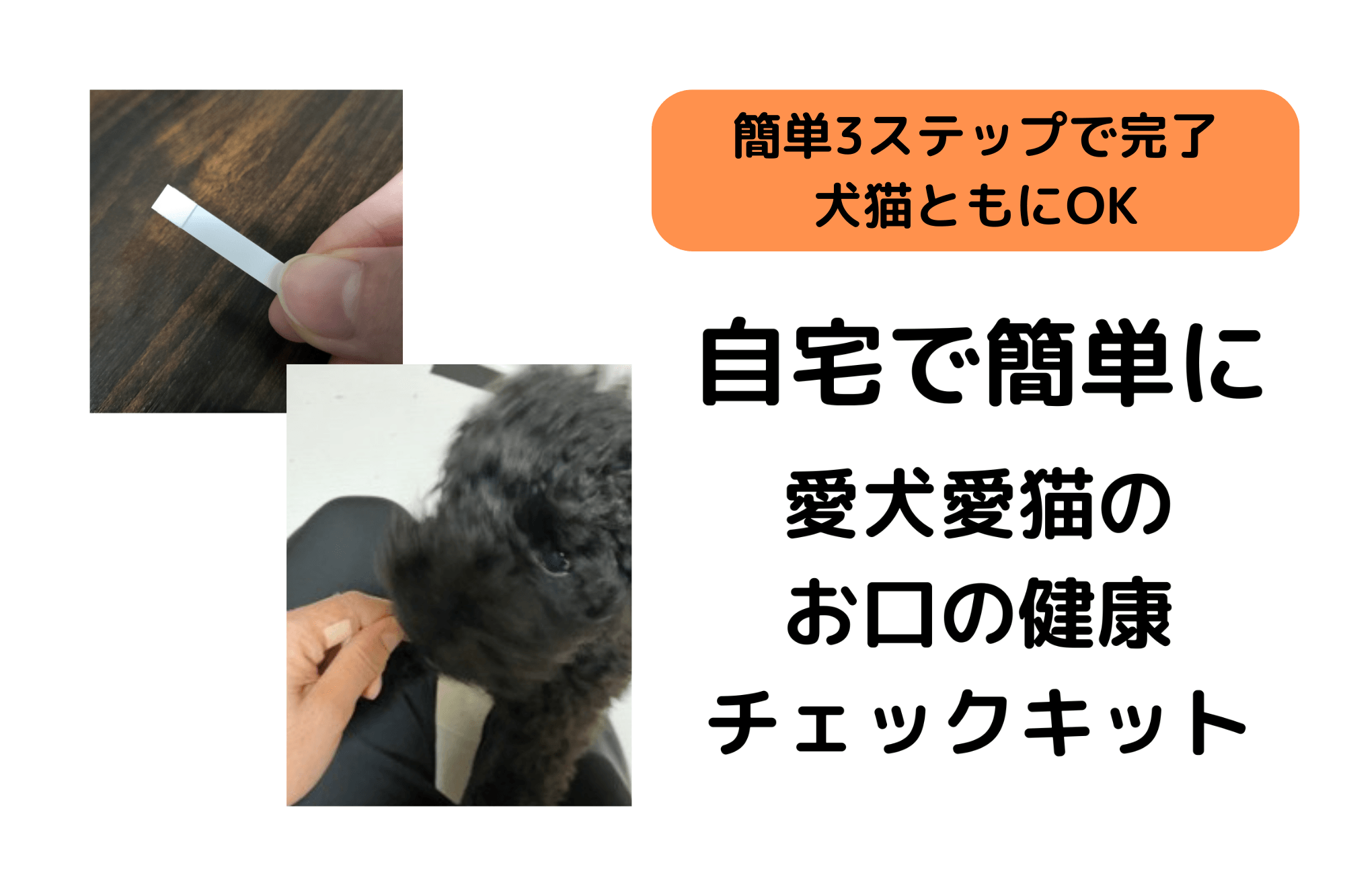 お口の健康チェックキット