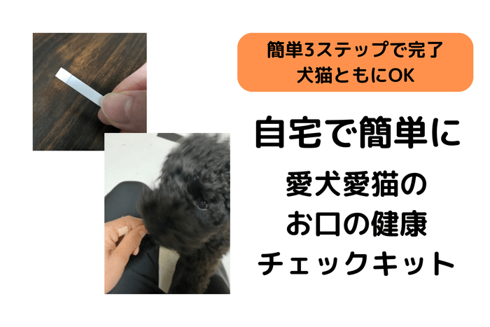 お口の健康チェックキット