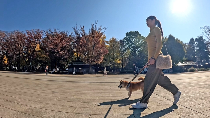 ©ＢＳ松竹東急