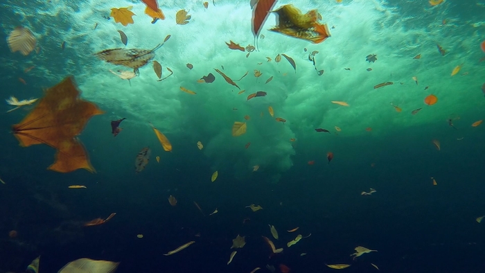 滝を水中から見ると･･･