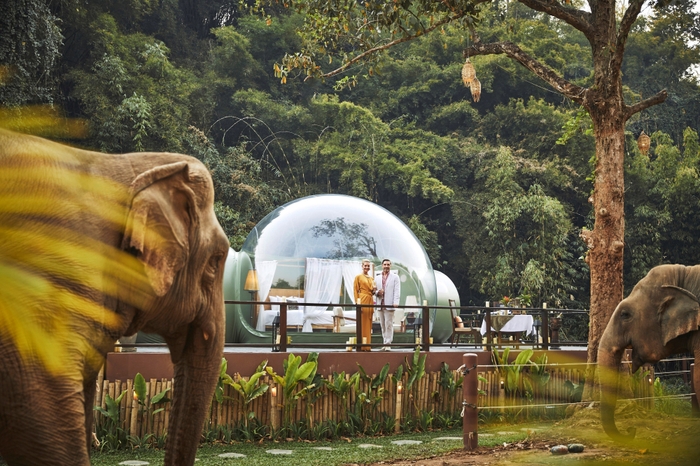 アナンタラ・ゴールデン・トライアングル・エレファントキャンプ＆リゾート 【エクスペリエンス】JUNGLE BUBBLES