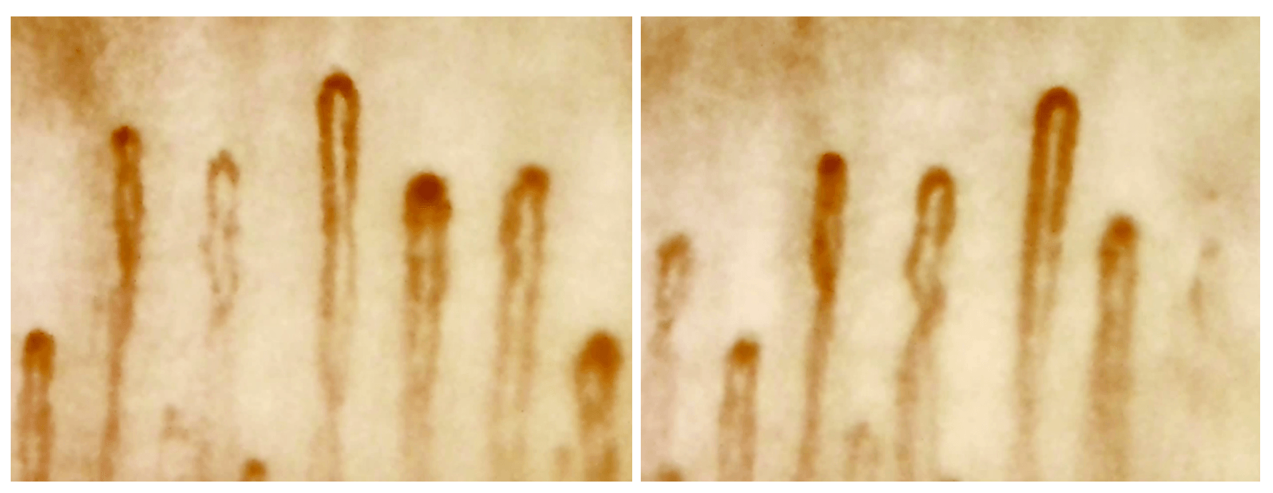 左:着用前 右:着用後