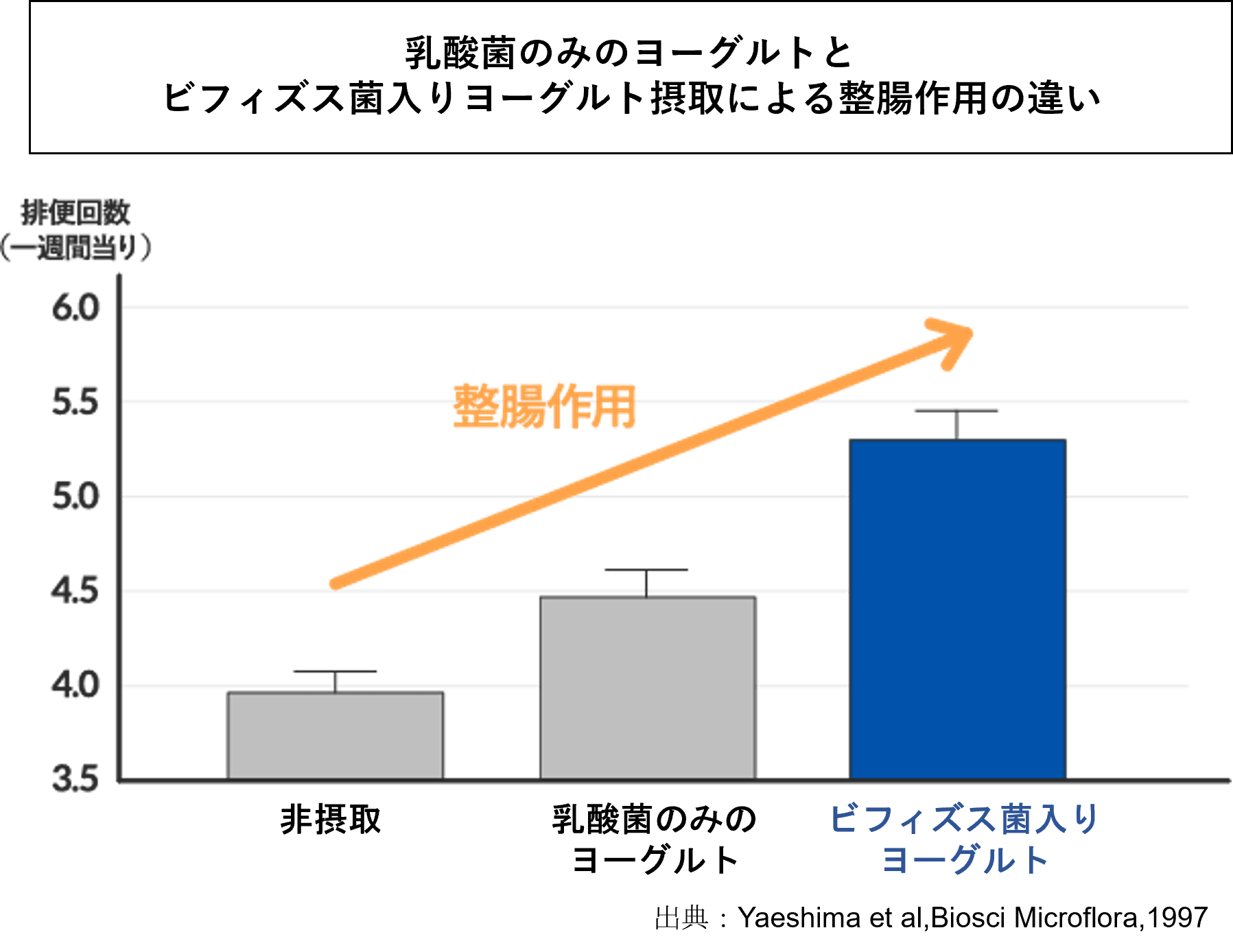 乳酸菌のみヨーグルトとビフィズス菌入りヨーグルトの整腸作用の違い