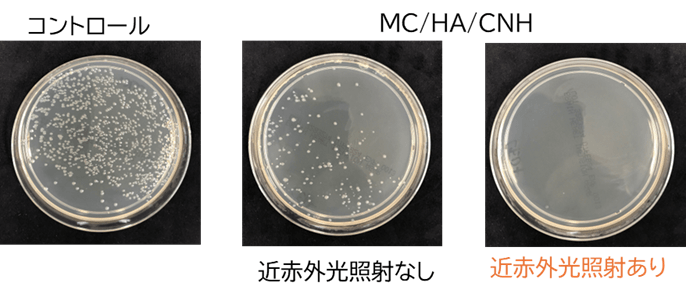 図2. A.a菌培養後の寒天培地。MC/HA/CNH混合なし（コントロール）と比較してMC/HA/CNH混合後は細菌のコロニーは減少し、さらに近赤外光照射するとコロニーは観察されなくなった。