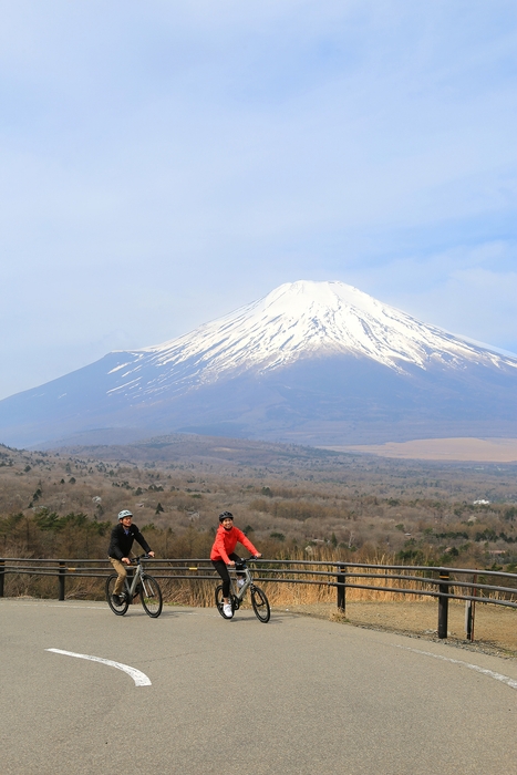 TRANS MOBILLY e-UNITY7016/207_image2