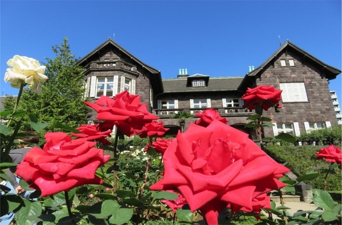 「洋風庭園に咲き誇るバラ」過去の様子