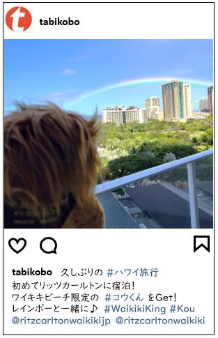 投稿イメージ
