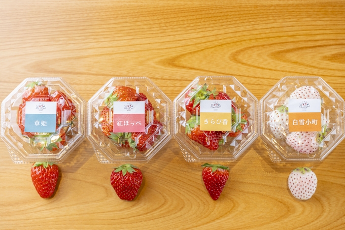 静岡いちごの品種別カップ ※数量限定販売