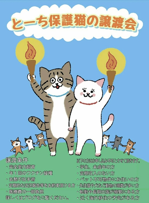 とーち保護猫の譲渡会&写真展示