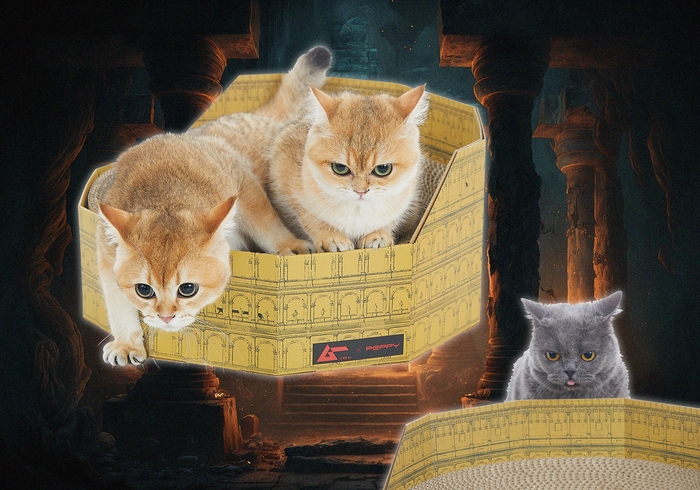 古代猫帝国のコロッセオ爪とぎ ¥4,990(税込)
