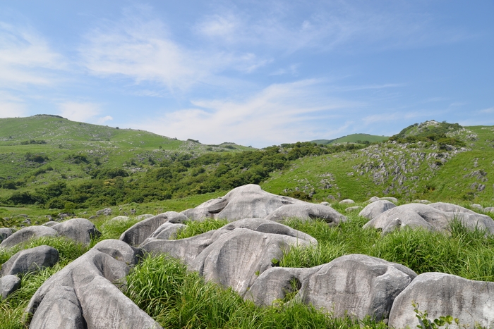 日本有数のカルスト台地「平尾台」