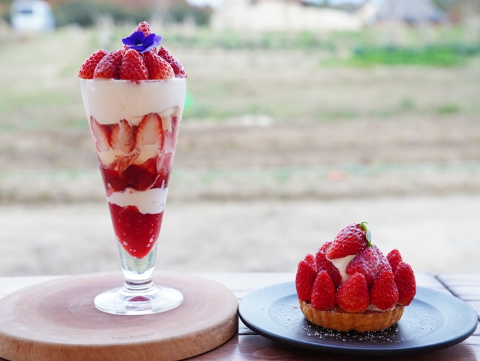 ▲（左）『贅沢淡路島いちごのホワイトショコラパフェ』 （右）『淡路島苺たっぷりのホワイトショコラタルト』