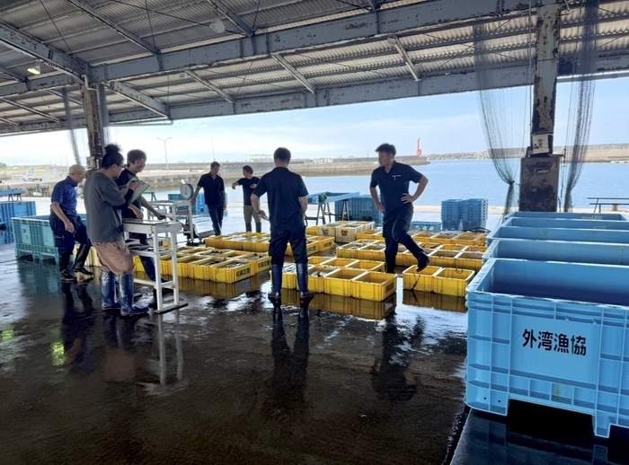 産地卸売市場(和具漁港)1