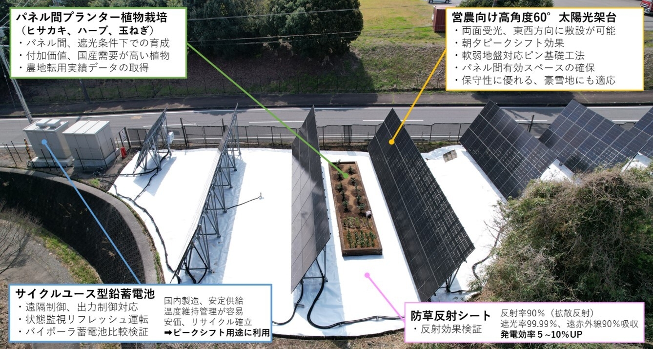 写真1:牧之原市営農型太陽光発電所 兼 実証フィールド