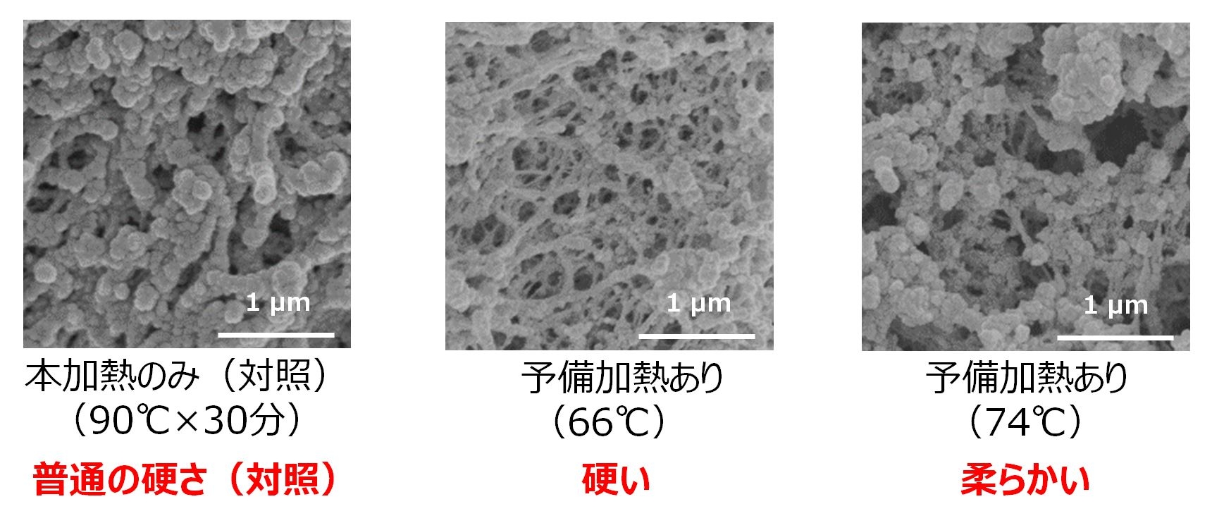 図1:予備加熱の有無と温度による、卵白部の微細構造の違い(顕微鏡写真)