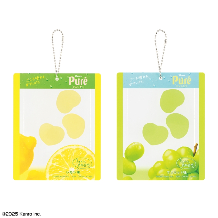 D賞:シャカシャカカードケース