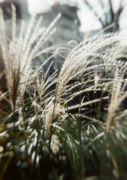 作例_ハーフフレームサイズ_2