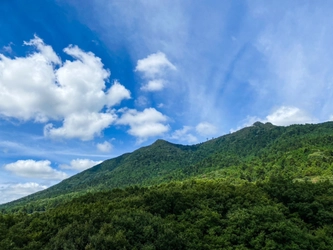 筑波山の絶景と空中散歩を満喫！「ホテル一望」宿泊者限定でフォレストアドベンチャー・つくばの800円割引特典を提供開始