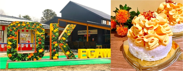 (左)OKモニュメント/(右)べに花ミルクパンケーキサンド