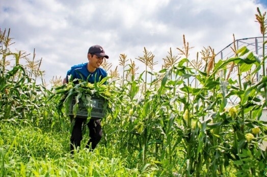 白石農園 白石 敏明代表(1)