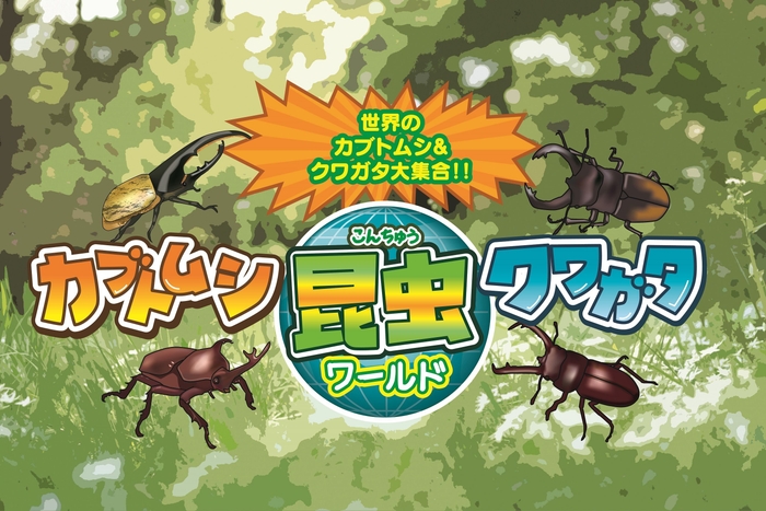 「昆虫ワールド」クワガタやカブトムシも展示されているよ!