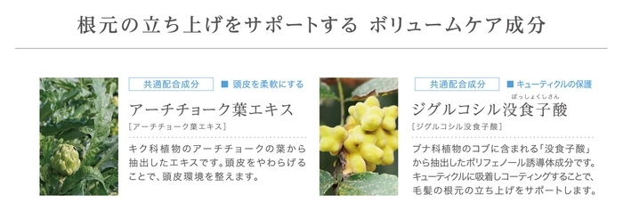 根元の立ち上げをサポートする ボリュームケア成分