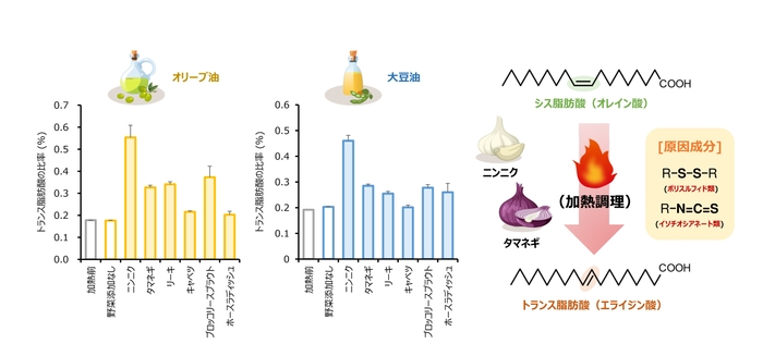 図1:含硫化合物を含む野菜が加熱調理(180 ℃、30分)工程において トランス脂肪酸(エライジン酸)の生成に及ぼす影響とメカニズム