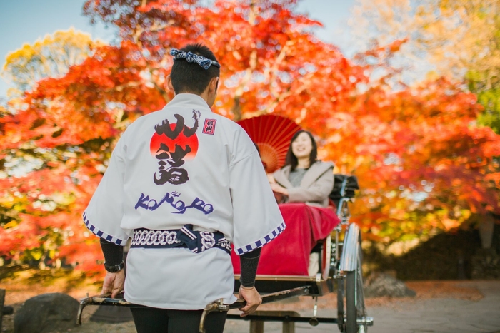 小諸城址懐古園 紅葉