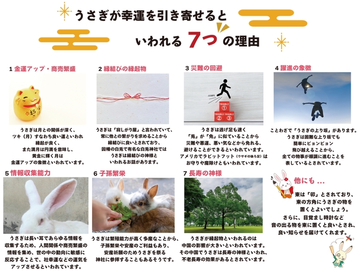 うさぎが幸運 7つの理由
