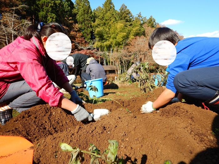 さあ、掘るぞ~!