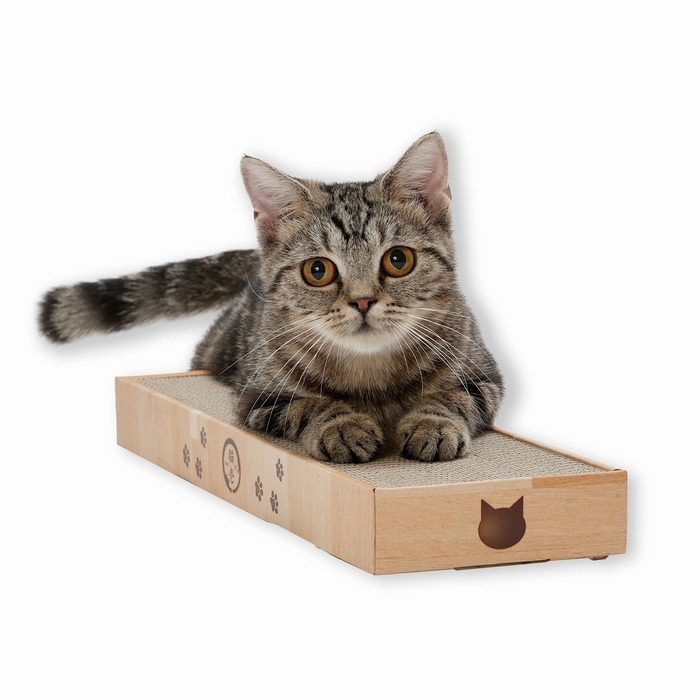 バリバリパッド スリム