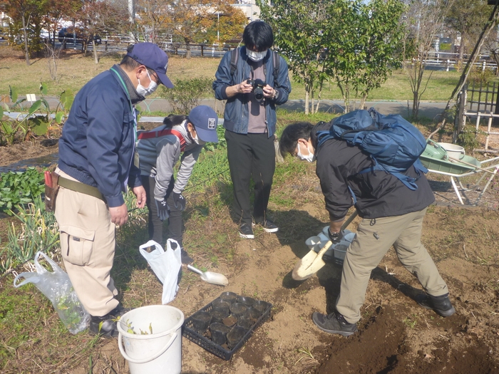 苗を植える鉢に土を入れます。ちょっと力がいるかな?