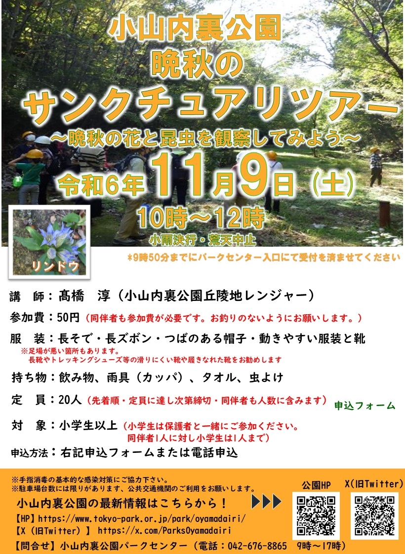 チラシ